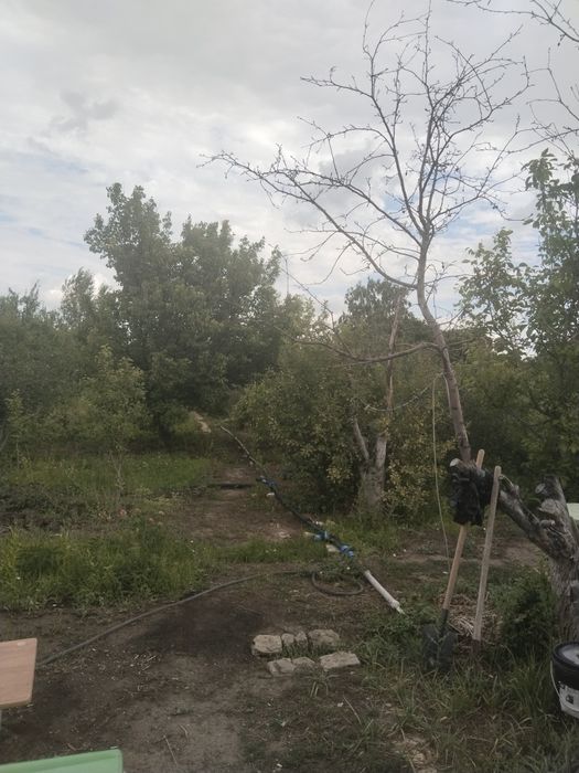 Дача на Бугарках