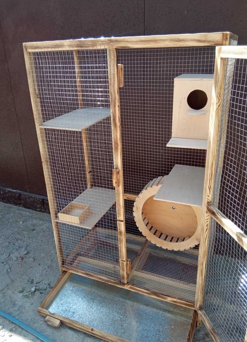 Клетка для белки, белок, белочек