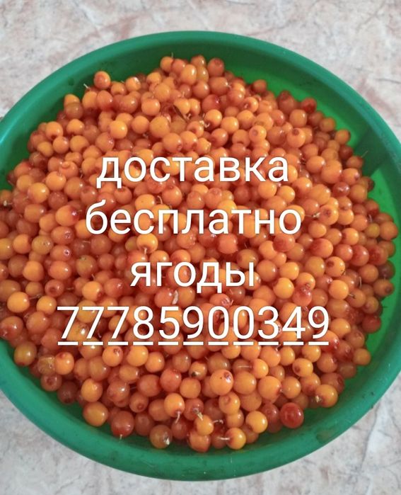 Облепиха Смородина сатылады
