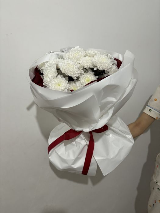 2 гул бар шымкент каласы