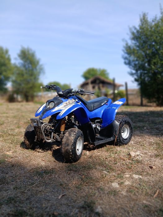 Атв 50 кубика mini kolt