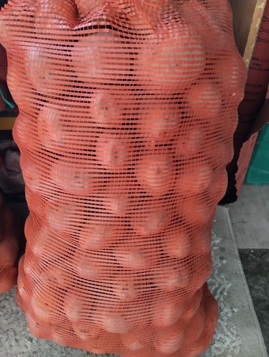 Продам картофель сорт Гала