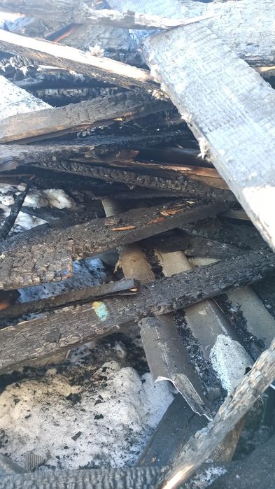 Дрова самовывоз бесплатно