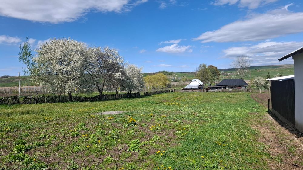 Teren intravilan 1800 mp, Pocoleni (Rădășeni) - formă dreptunghiulară, posibilitate parcelare