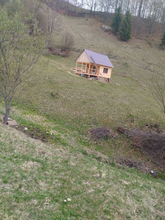 Căbănuta,teren și padure