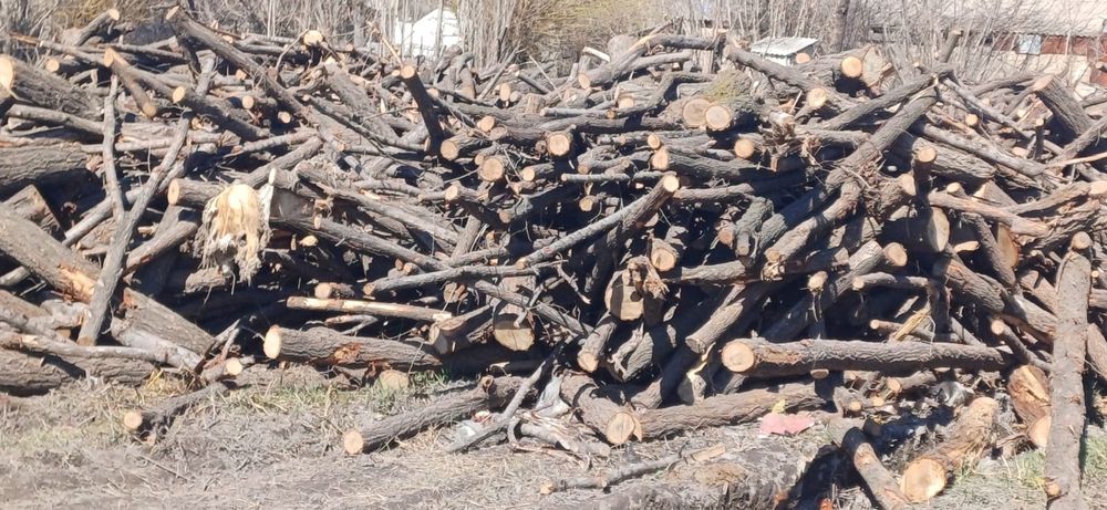 Продам на дрова чурки пилинные