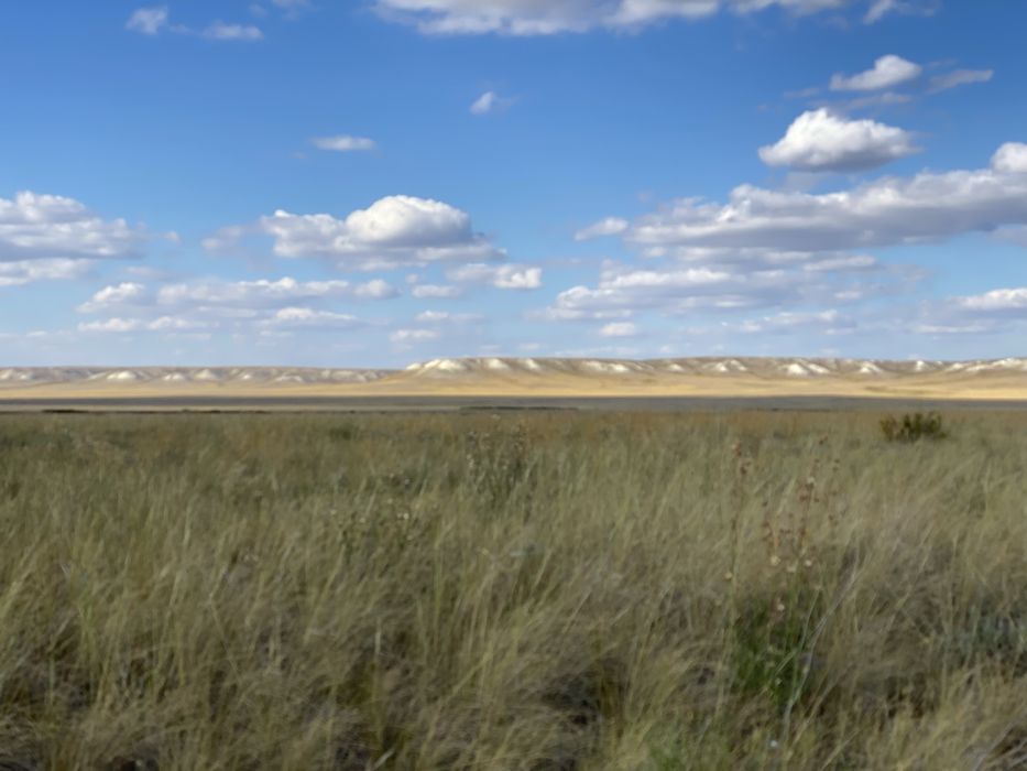 Крестьянское хозяйство