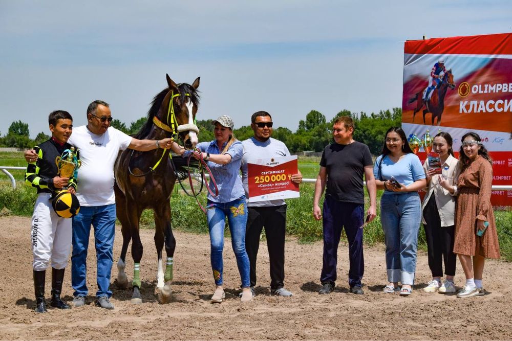 Тренинг скаковых лошадей