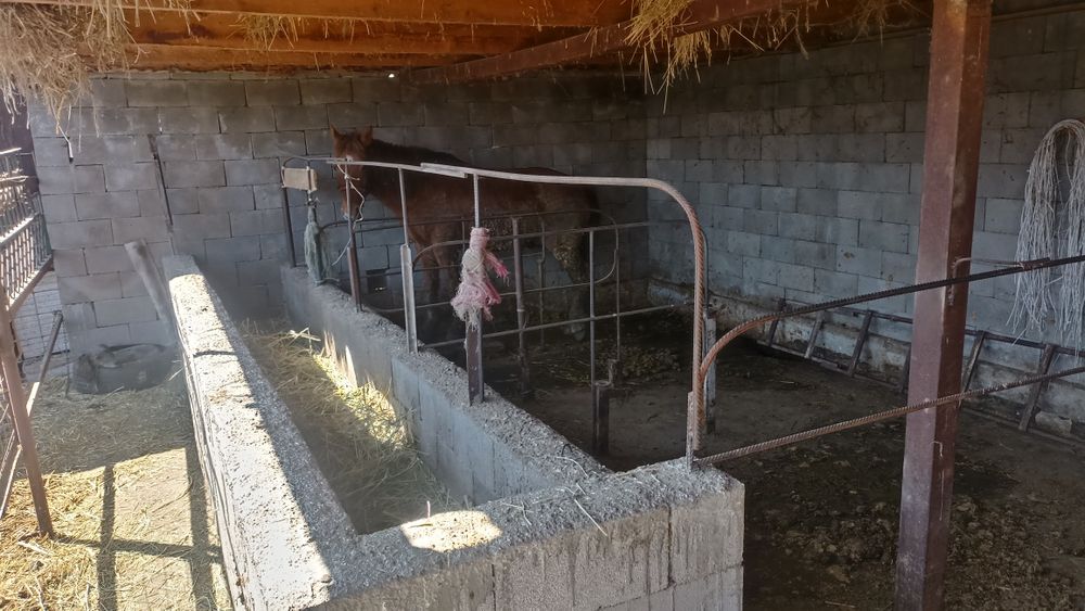 Уй сатамын продам дом