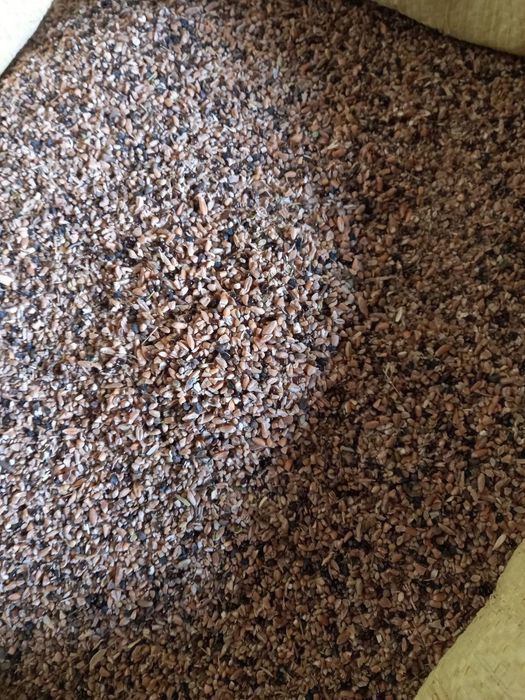 Bug'doy    zenniy athot