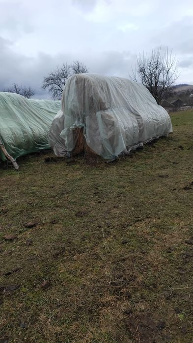 Vand baloti de buna calitate