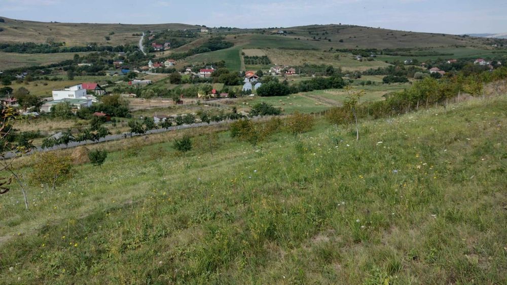 Teren intravilan Sopor