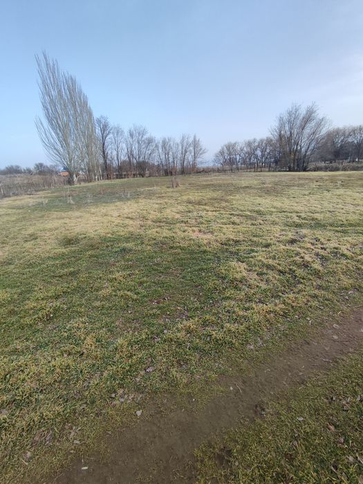 Продается откормочная Фазенда