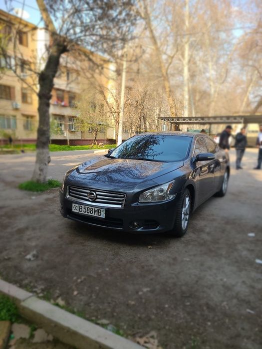 Nissan Maxima A35