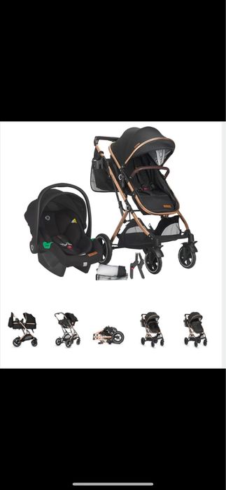 Carucior 3 /1  Coccolle