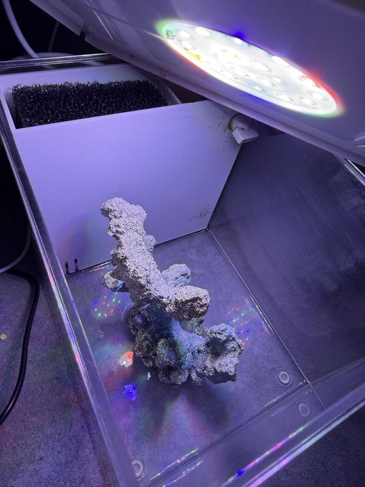 Vand acvariu pesti echipat complet 3l