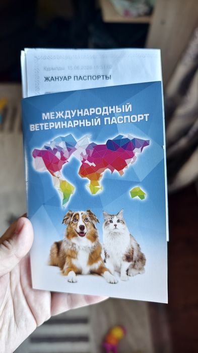 Отдам  в хорошие добрые руки!