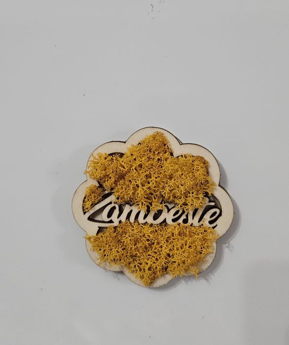 Magnet pentru frigider - Zambeste