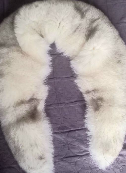 Guler de vulpe argintie lung de 1,31m