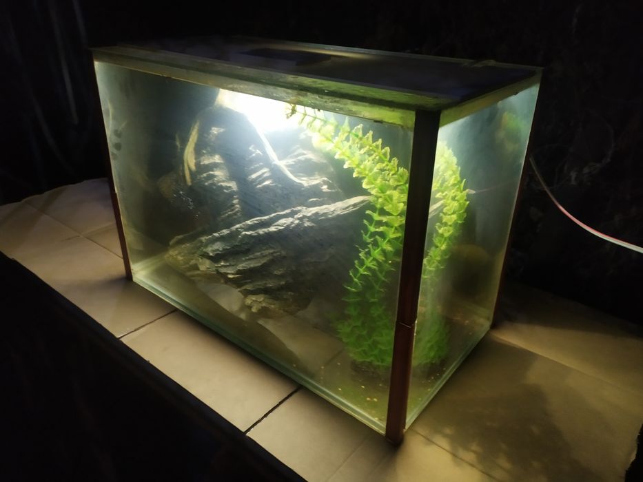 Аквариум 73л + бонусы и рыбки.