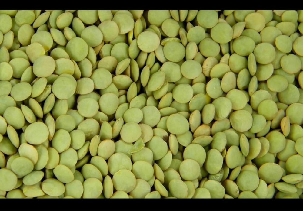 Зеленая чечевица