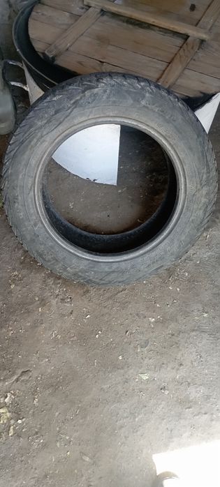 Шины зимние одна пара