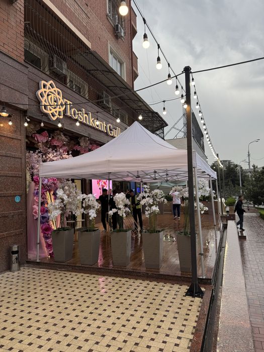 Prokat stol stul . Arenda pasuda. Прокат стол стул. Аренда пасуда