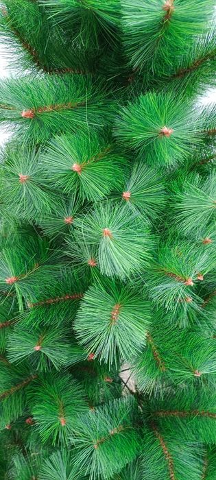 Новогодняя ёлка высокая