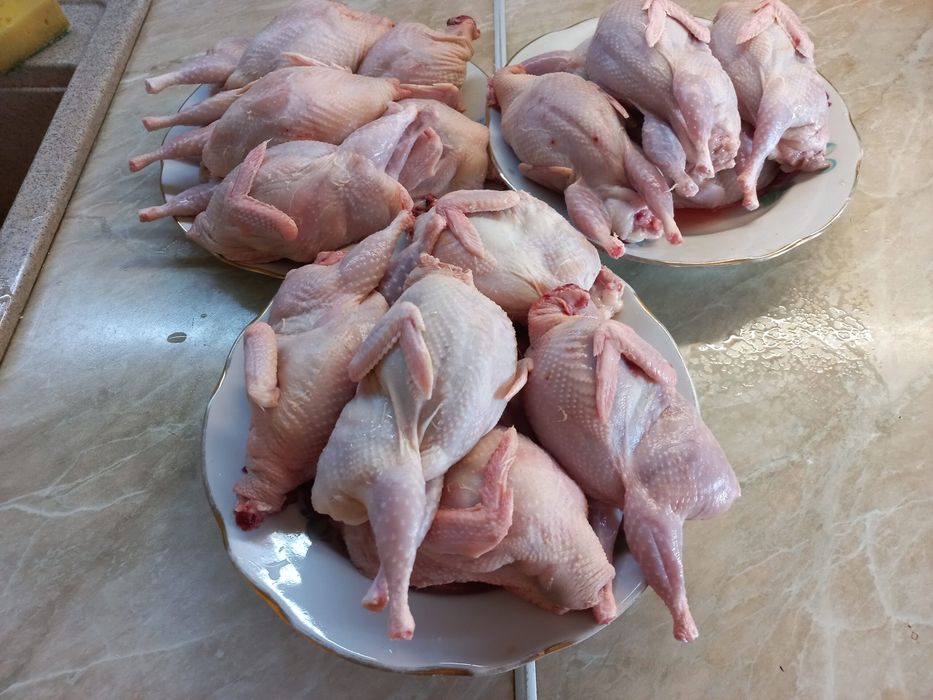 Мясо перепелов. Бөдене еті