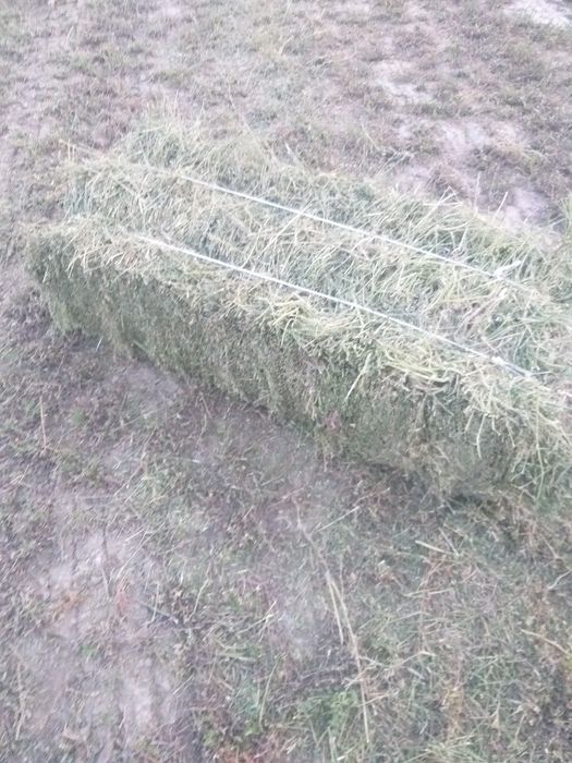 Beda sotiladi 90 talik