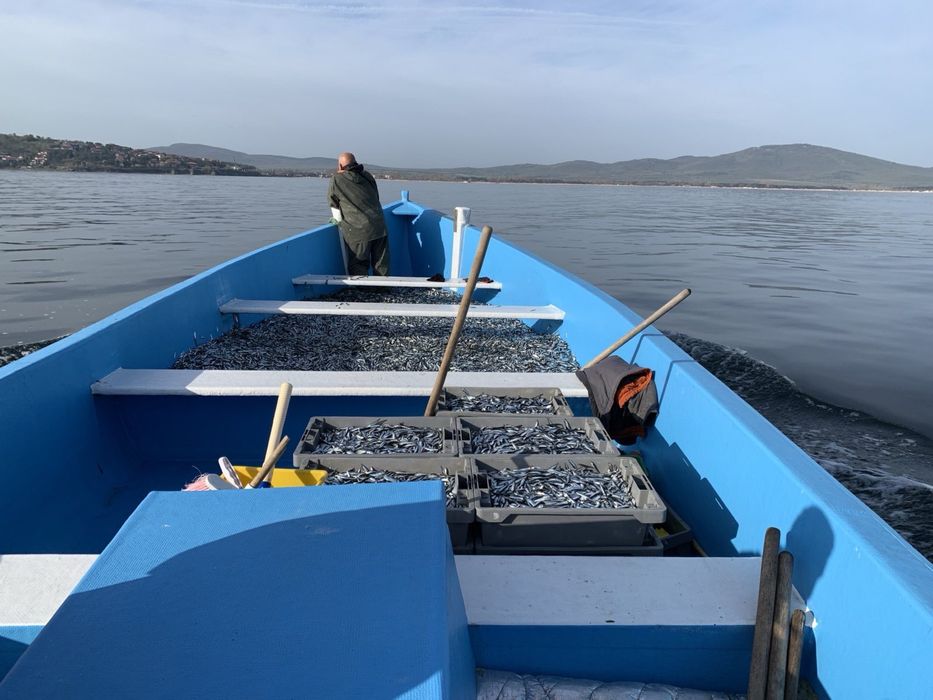 Лодка тип Мауна