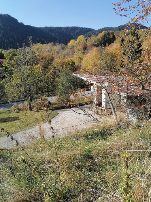 Продава се Парцел в Смолян, Езерово - 1080 кв.м за 31 €/кв.м - Снимка #9