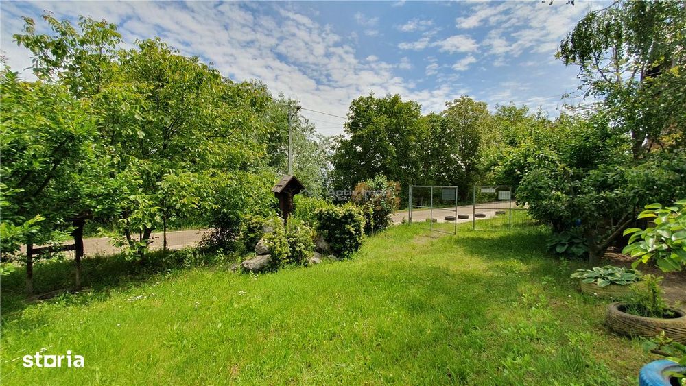 Teren intravilan - 2400 mp - 3 cabane din lemn modulare - Lisaura