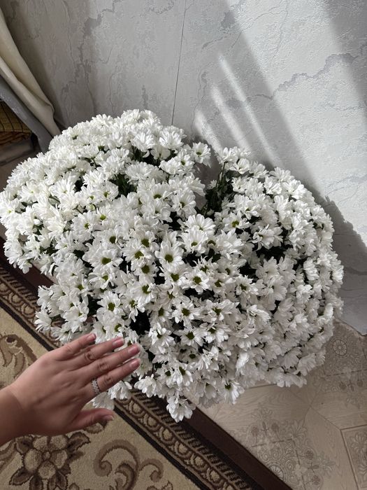 Продам цветы актобе