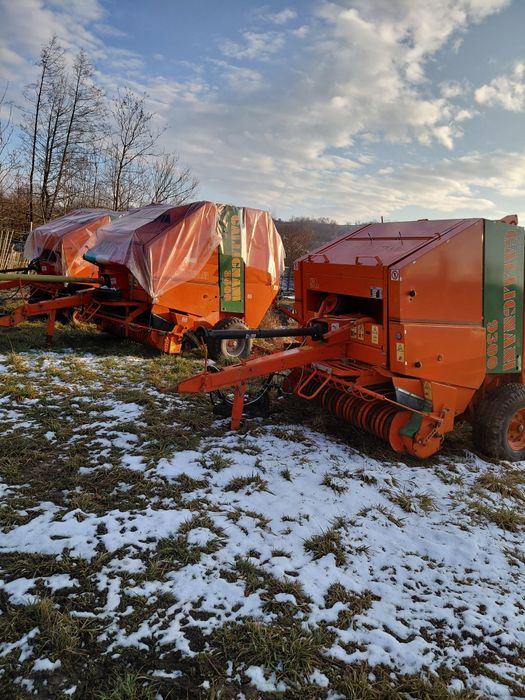 Balotiera galigniani