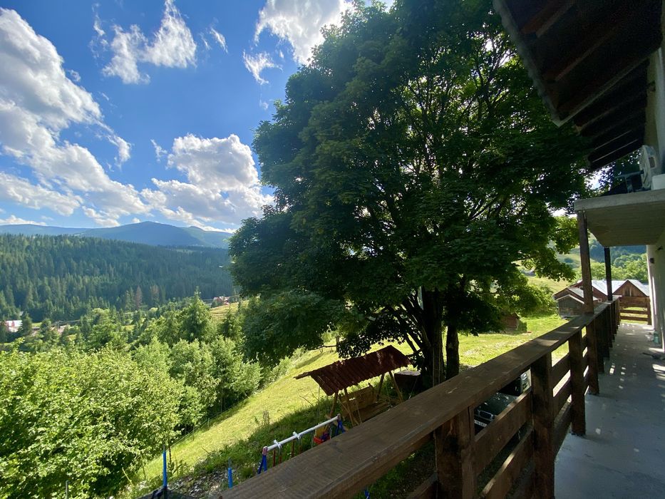 Cabana Paltin Arieseni
