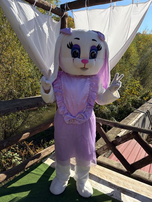 Маскоти под наем