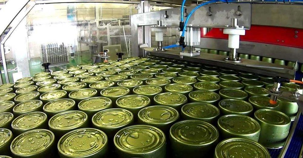 консервный завод