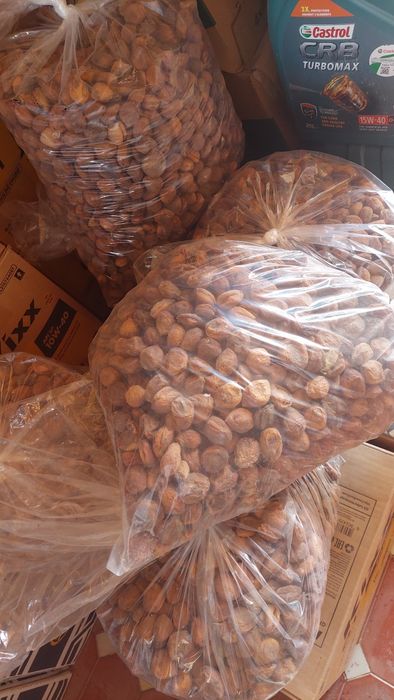 o'rik qoqi go'lin sotiladi