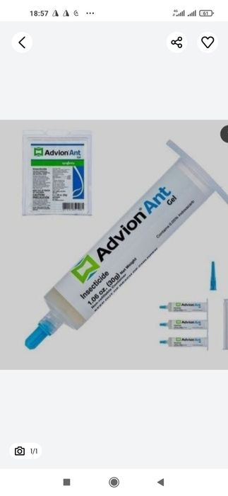 Chumoli dori (amerkanskiy dori),Чумоли дори