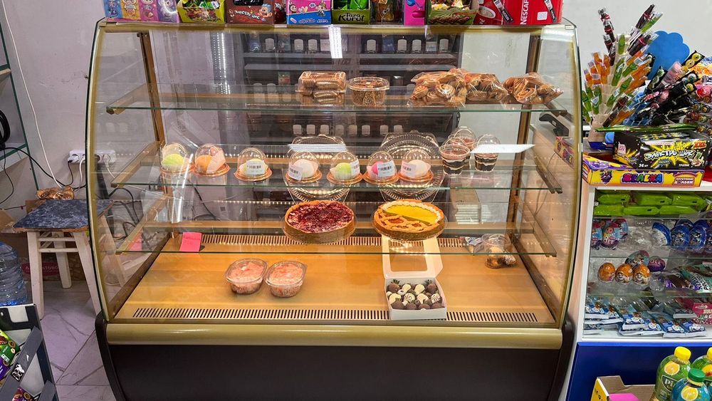 Ветринный Холодильник для бизнеса