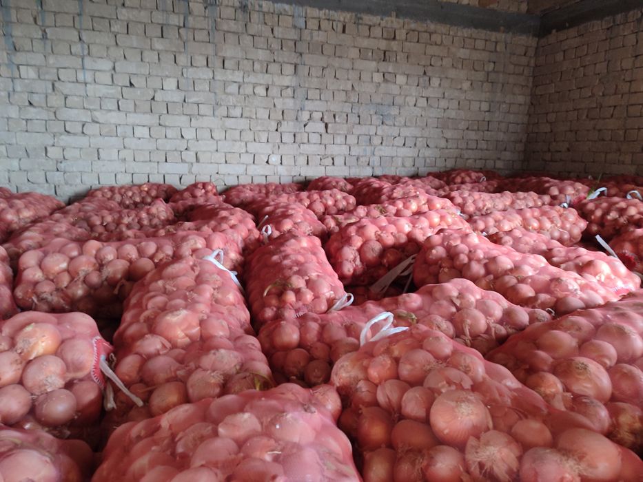 OPTIM piyoz sotiladi