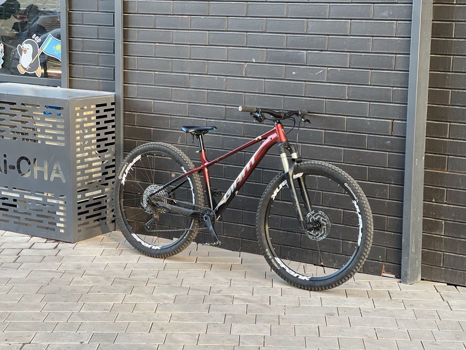 Giant talon 0 2025