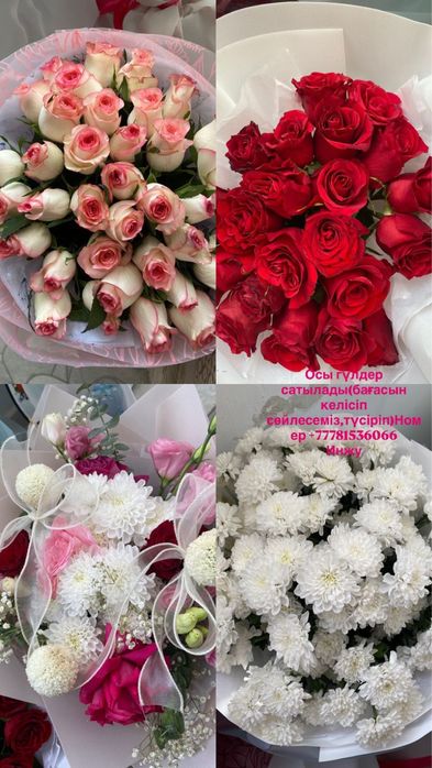 Цветы-Гүлдер-Flowers