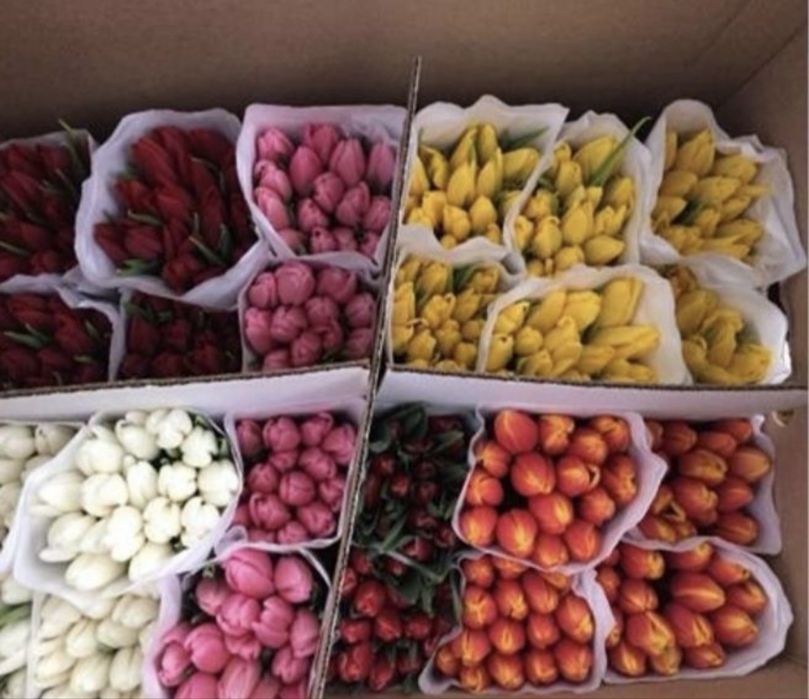 Тюльпаны к 8 марта