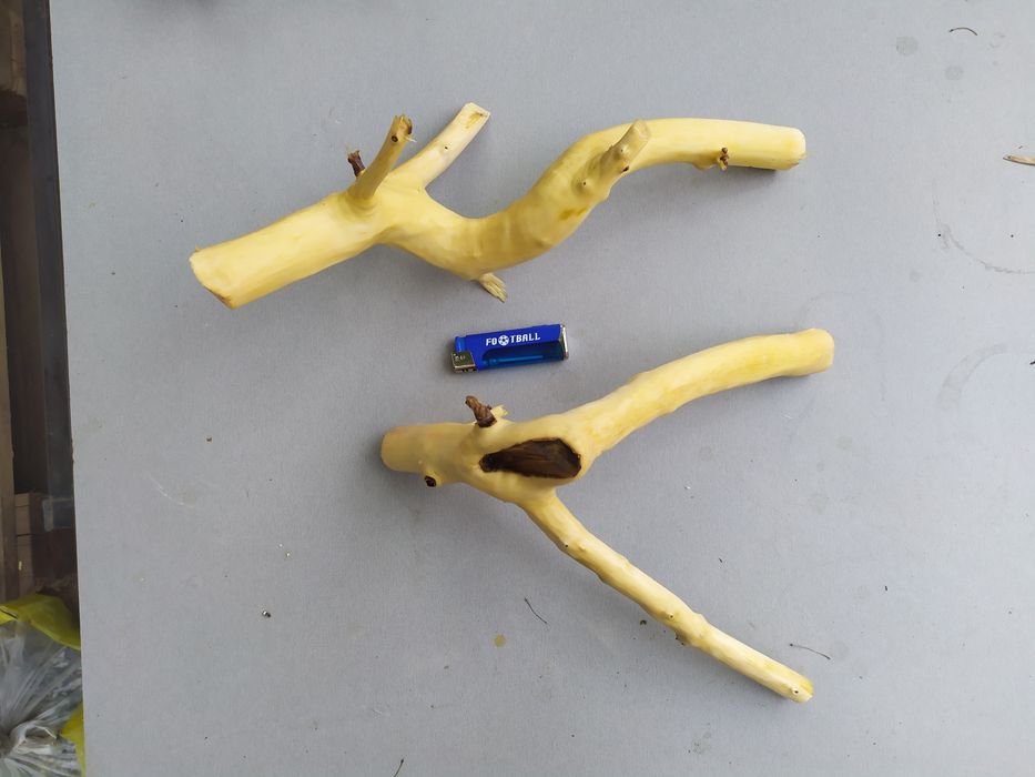 Коряги для аквариума / террариума.