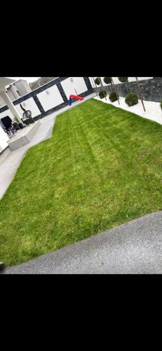 Cosesc iarbă mare, curăț curți și defrișez terenuri – judetul Arges și împrejurimi.   Motocoasă puternică, drujbă, autoutilitară pentru transport.