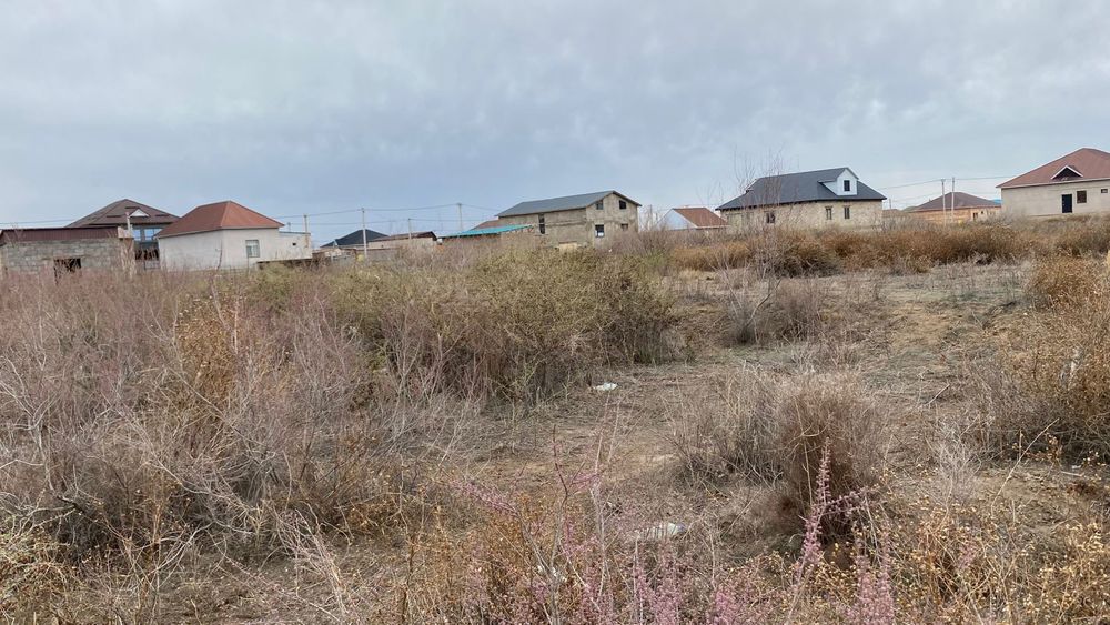 Жер байтерек 8 соттык