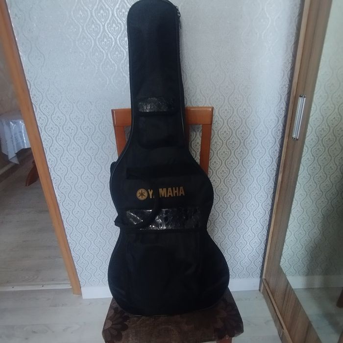 Электрогитара с усилителем