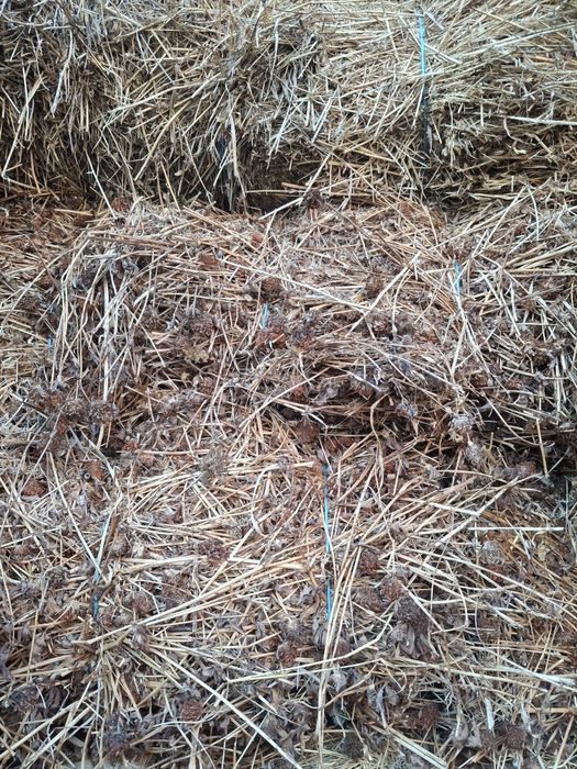 Baloți de lucernă și de trifoi